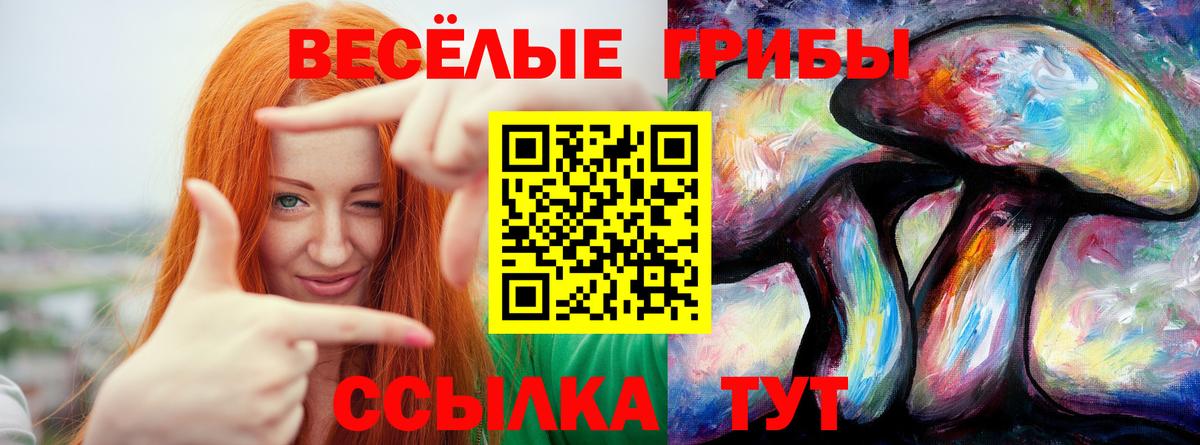 Псилоцибиновые грибы GOLDEN TEACHER  Галлюциногенные грибы Psilocybe  Богородск  закладки  Вход с VPN 